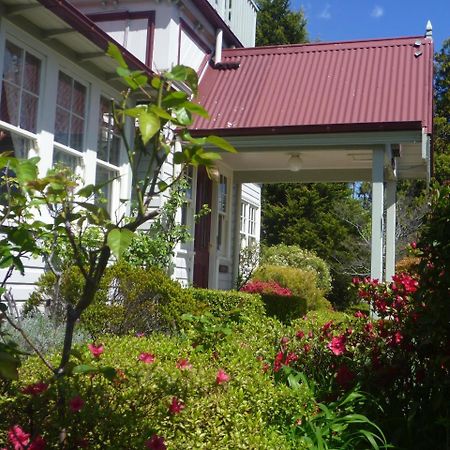 Norwood Mountain Lodge Blackheath Dış mekan fotoğraf