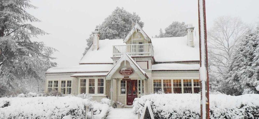 Norwood Mountain Lodge Blackheath Dış mekan fotoğraf