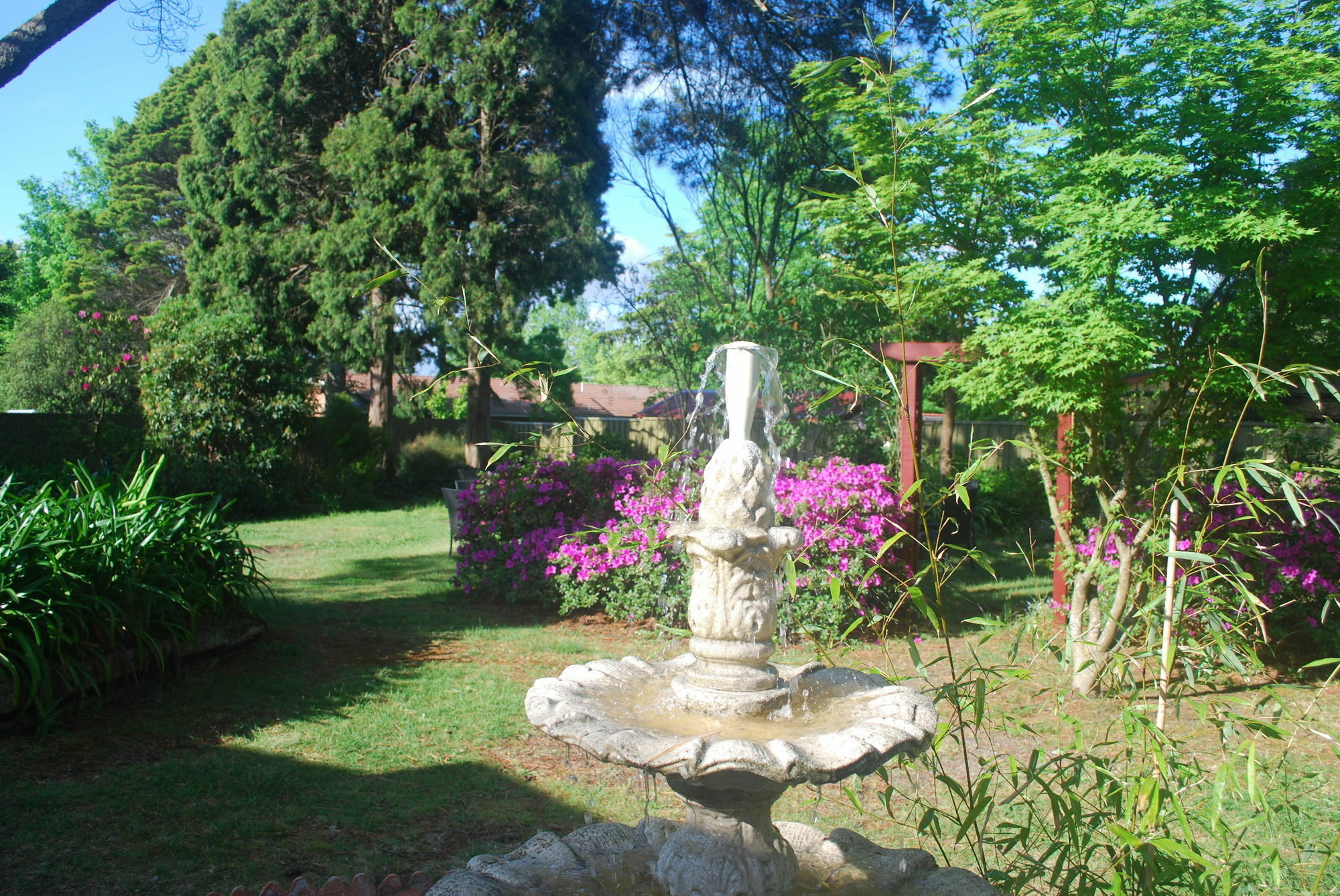 Norwood Mountain Lodge Blackheath Dış mekan fotoğraf